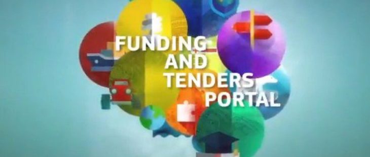 Un nuovo portale unico sul web per i bandi europei