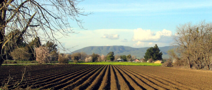 Torna “Coltivare valore”, il bando Cariplo su agricoltura sostenibile e sociale