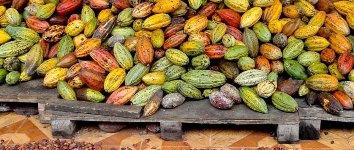 Contributi della Regione Lombardia a progetti di commercio equo e solidale