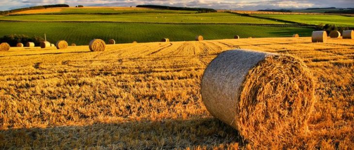 La UE finanzia azioni di informazione su agricoltura e sviluppo rurale