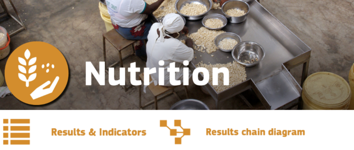 Da DEVCO un aiuto online per costruire la catena dei risultati e fissare gli indicatori