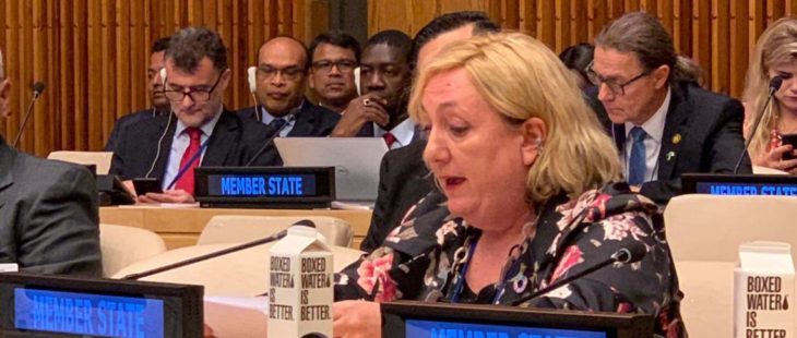 Più multilaterale per combattere le conseguenze di Covid-19, ma serve una concertazione nel sistema della cooperazione italiana