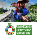 Cosa c’è che non va al UN Food System Summit delle Nazioni Unite