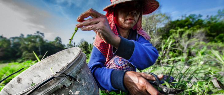 Cosa c’è che non va al UN Food System Summit delle Nazioni Unite