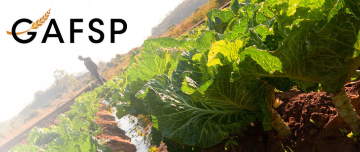 Al via la call 2021 del Programma Globale per l'Agricoltura e la Sicurezza Alimentare