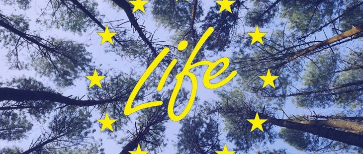 Ecco le scadenze dei bandi LIFE 2022 per ambiente ed economia circolare