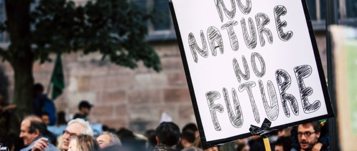 Due bandi della Fondazione Cariplo sulla transizione ecologica