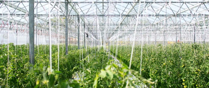 Un award per trasformare il sistema alimentare in modo più sostenibile