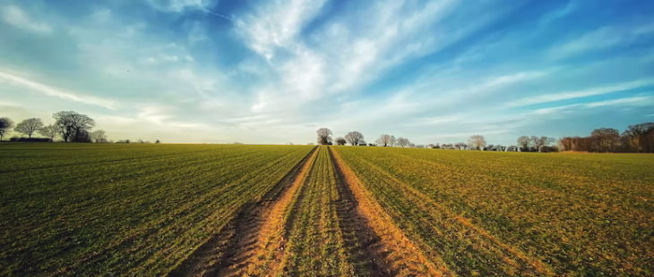 Sei megatrend che stanno cambiando i sistemi alimentari africani