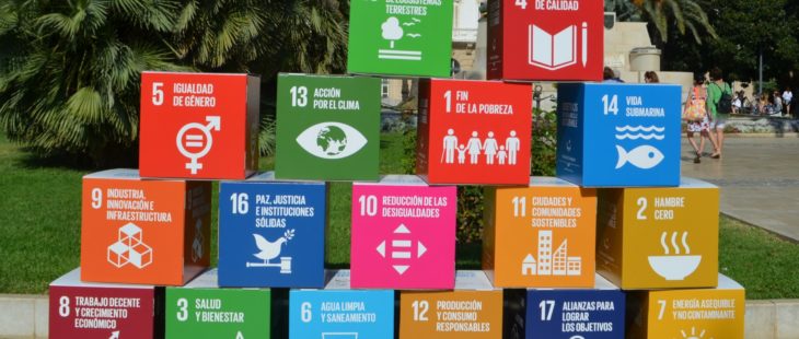 Dal MITE un bando per promuovere la cultura per la sostenibilità