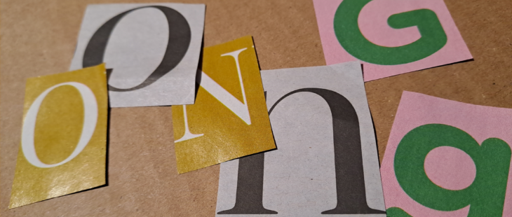 Si fa presto a dire ONG