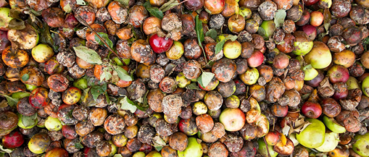 Il Comune di Milano apre un percorso di co-progettazione sullo spreco alimentare