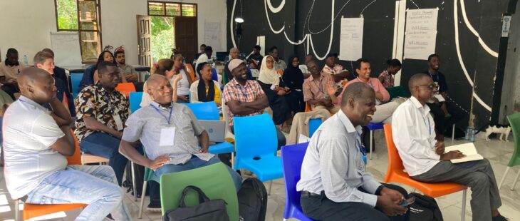 Contributi per la formazione delle organizzazioni delle diaspore