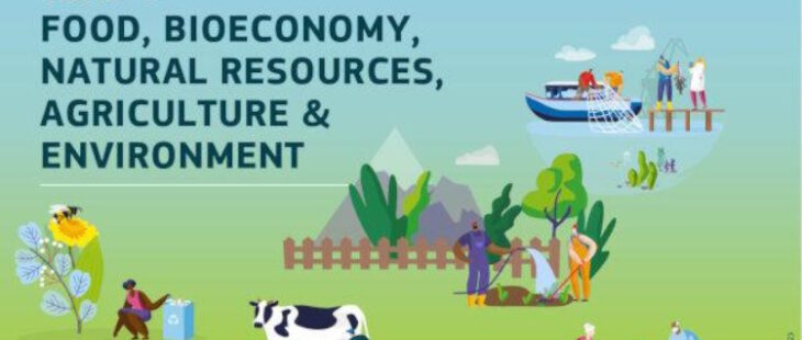 Agroecologia e sistemi alimentari, ecco le opportunità di Horizon Europe