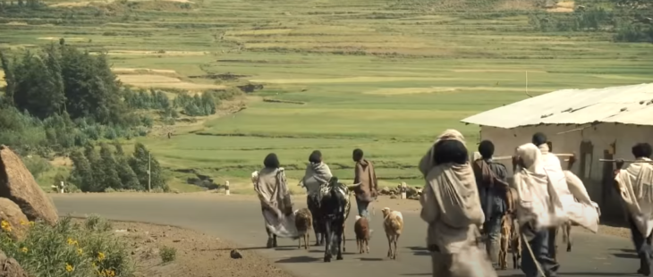 Bando UE per la sicurezza alimentare in Etiopia