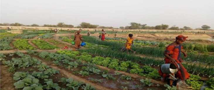 1,6 milioni di euro per 37 nuovi progetti dalla Provincia di Bolzano
