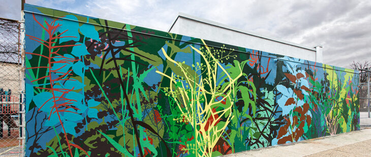 Bando Just Transition per la sostenibilità ambientale e la resilienza ecologica