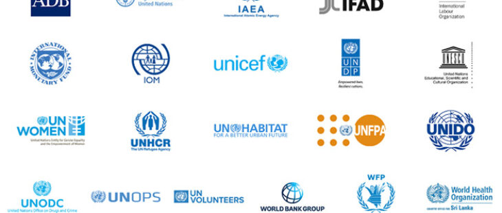 Aggiornamento bandi Agenzie Nazioni Unite (gennaio 2024)