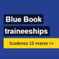 Tirocinio alla Commissione Europea nell’ambito del programma Blue Book