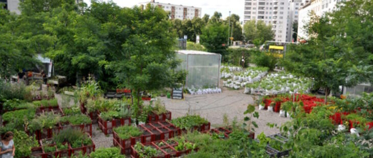 Bando UE per promuovere l’agricoltura urbana in Europa