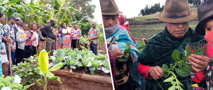 Due call per promuovere Agroecologia e One Health