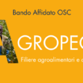 Bando affidato AICS AGROPEC in Niger