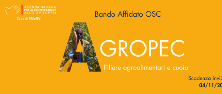 Bando affidato AICS AGROPEC in Niger