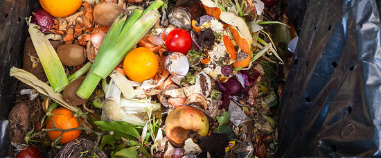 Spreco alimentare, la sfida passa dall’alleanza tra generazioni