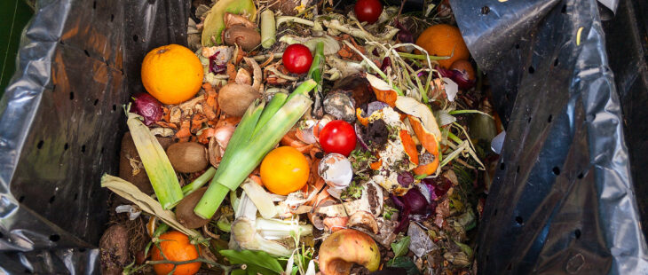 Bando europeo contro lo spreco alimentare