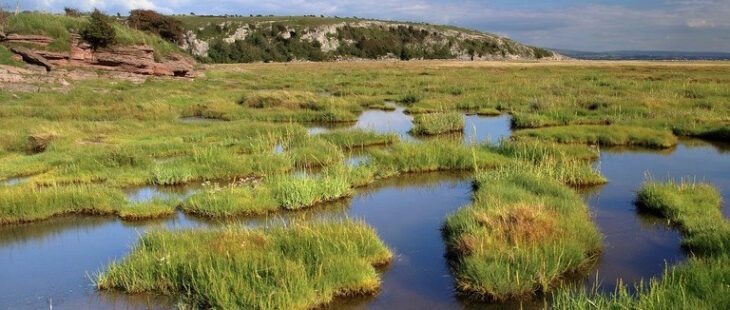 Supporto a progetti per la gestione delle acque nei paesi del Mediterraneo