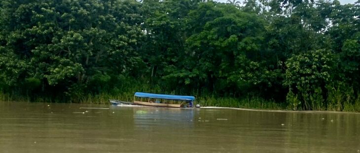 Bando del Programma AMAZONIA+ in America Latina