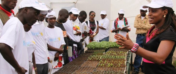 Bando a sostegno della gioventù Senegalese