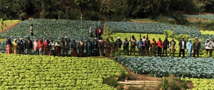 Affidato AICS per l’inclusione lavorativa dei giovani in Guinea