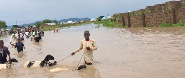 One Health e crisi climatica: un’agenda globale per la salute