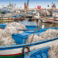 Bando ADAPT per lo sviluppo dell’agricoltura e della pesca artigianale in Tunisia
