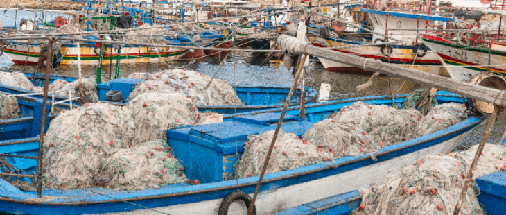 Bando ADAPT per lo sviluppo dell’agricoltura e della pesca artigianale in Tunisia