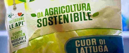 Nuove regole sul greenwashing, ecco cosa cambia nella comunicazione ambientale