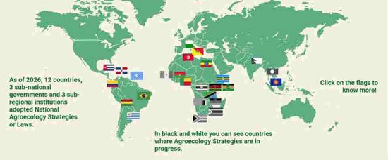 12 Governi adottano l'agroecologia per resistere a conflitti e crisi climatiche