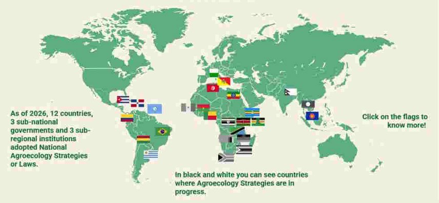 agroecology strategy