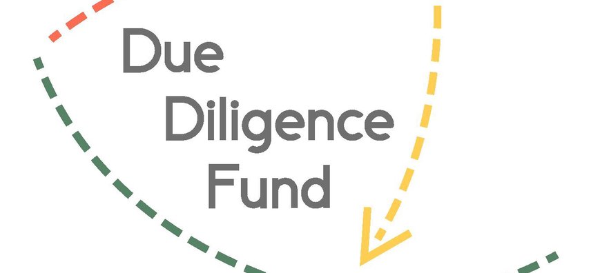 Due Diligence Fund