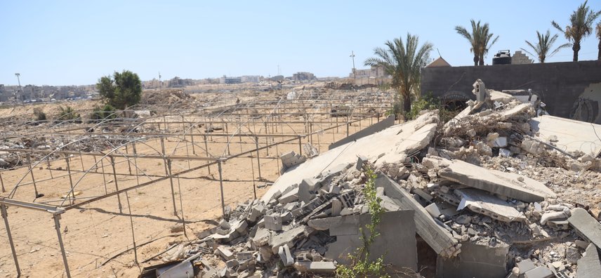gaza agricoltura