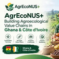 Filiere agroecologiche in Ghana e Costa d'Avorio