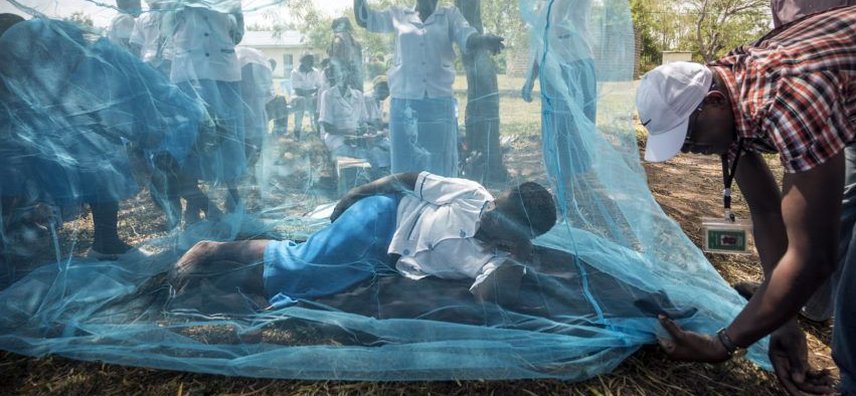 global fund malaria