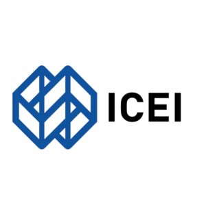 ICEI - Project Manager - Mozambico